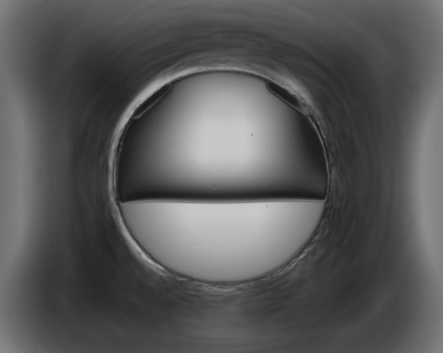 X0000086911528200704160958
