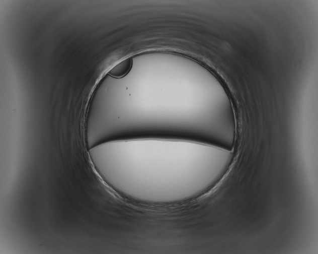 X0000086911529200704160958