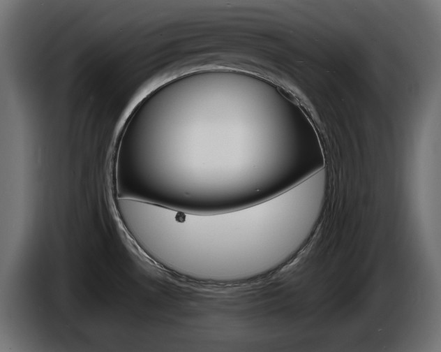 X0000086911530200704160958