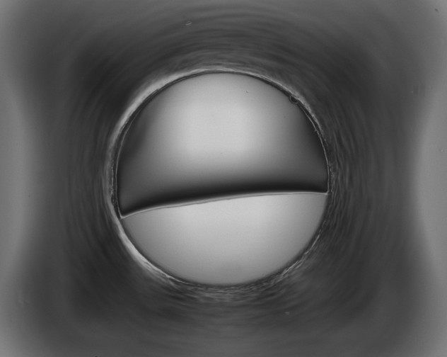 X0000086911531200704160958