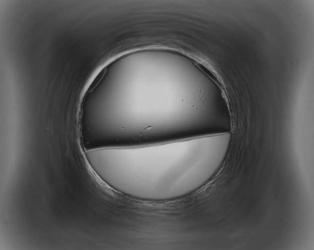 X0000086911532200704160958