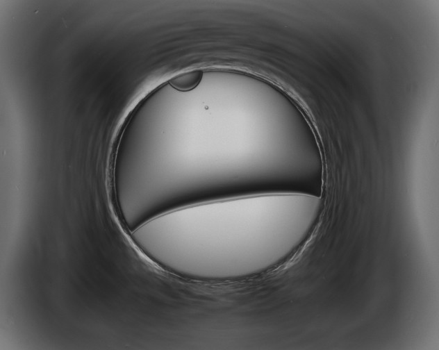X0000086911533200704160958