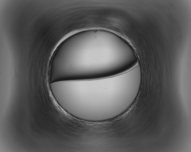 X0000086911534200704160958