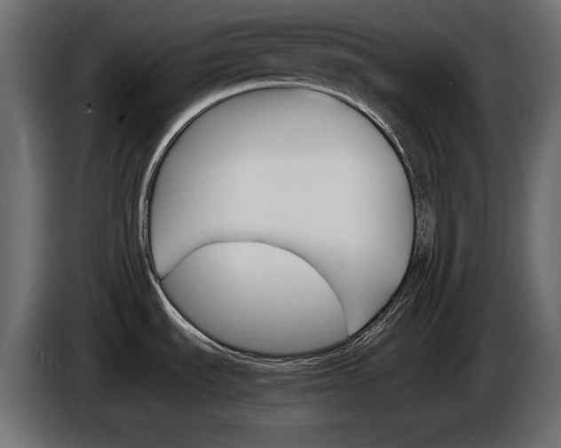 X0000086911535200704160958