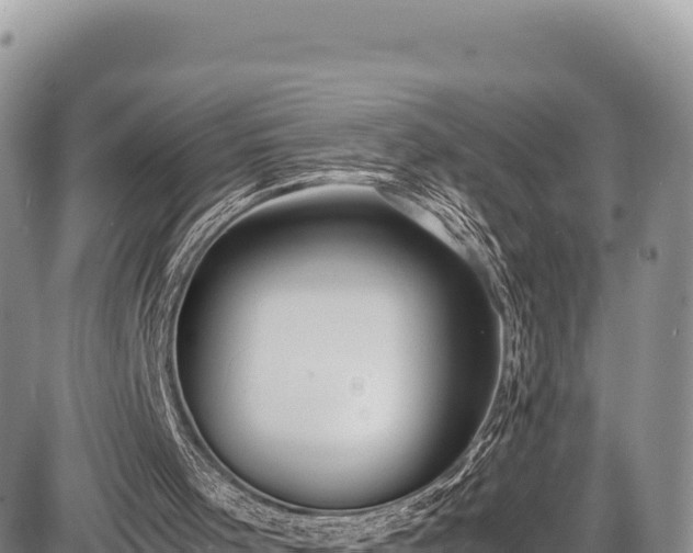 X0000086910001200704231230