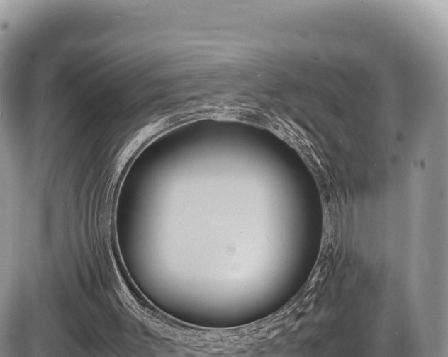 X0000086910003200704231230