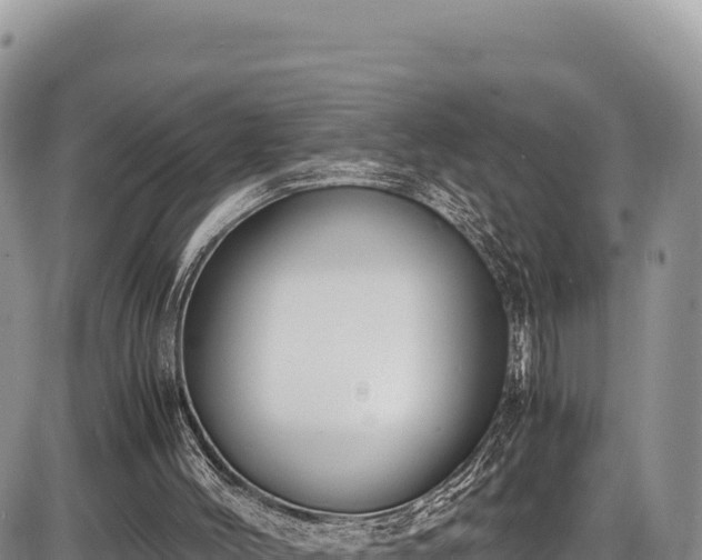 X0000086910004200704231230