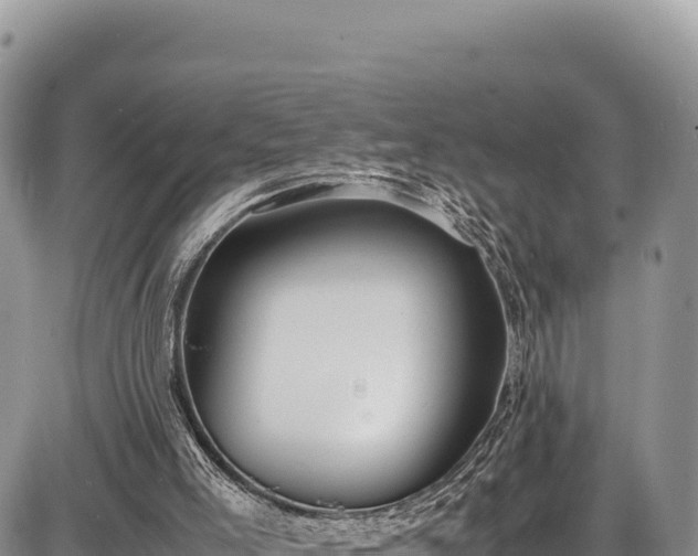 X0000086910005200704231230