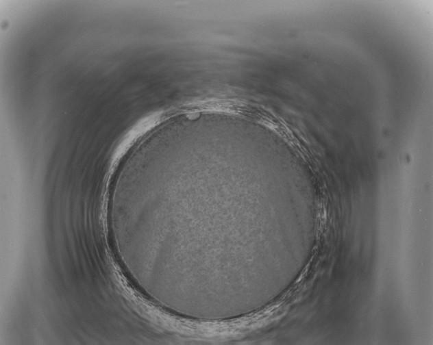 X0000086910006200704231230