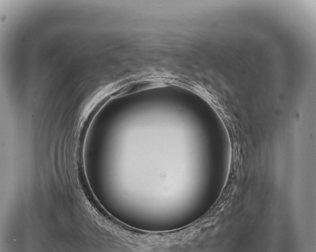 X0000086910007200704231230