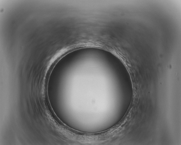 X0000086910008200704231230