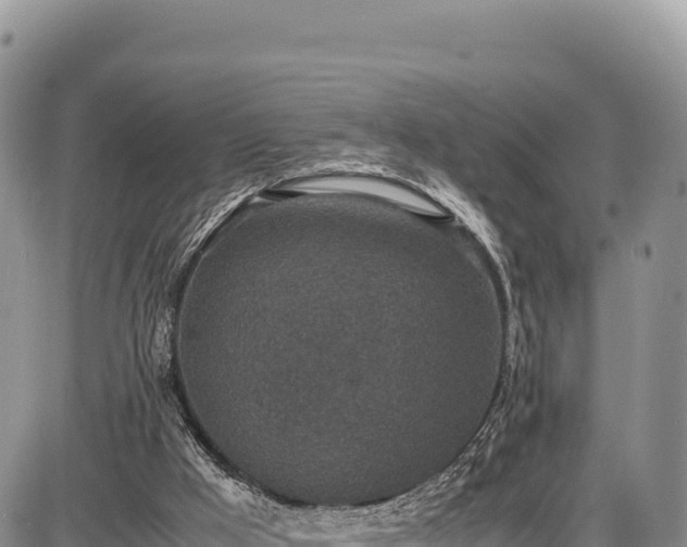 X0000086910009200704231230