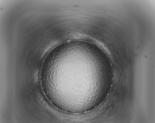 X0000086910010200704231230