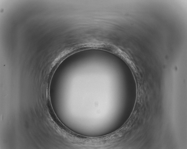 X0000086910011200704231230