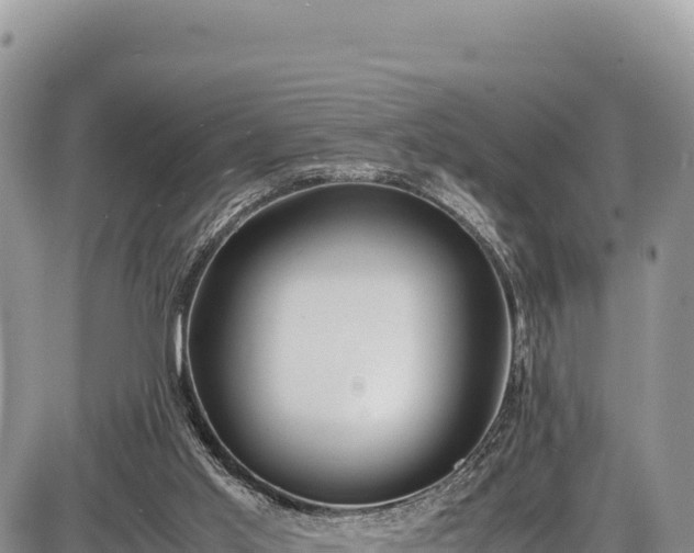 X0000086910013200704231230