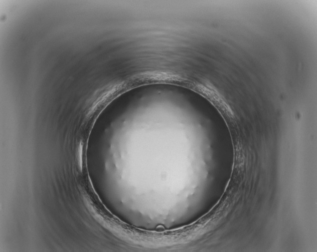 X0000086910014200704231230