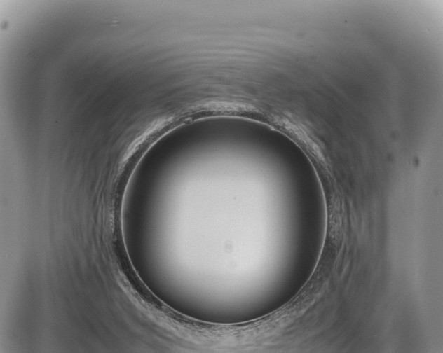 X0000086910015200704231230