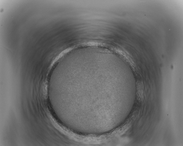 X0000086910016200704231230