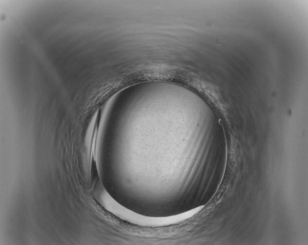 X0000086910017200704231230