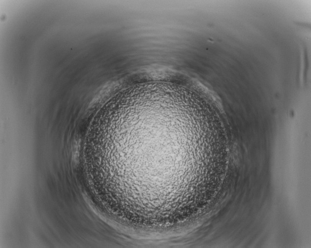 X0000086910018200704231230