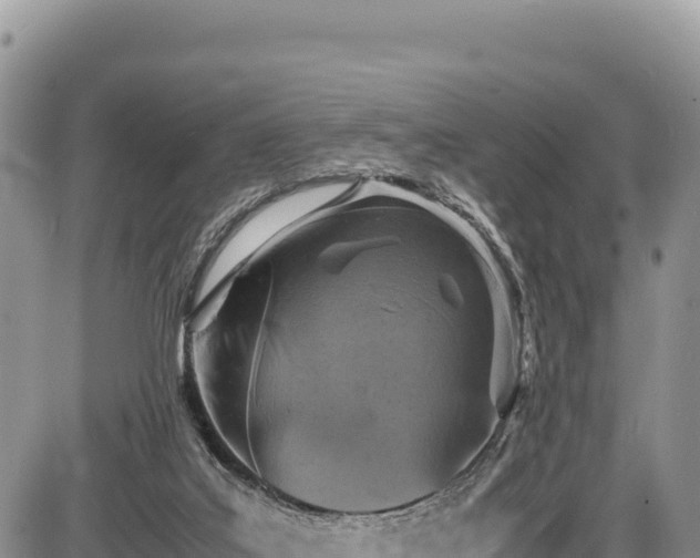 X0000086910019200704231230