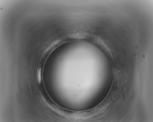 X0000086910020200704231230