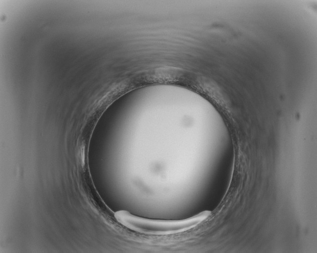 X0000086910021200704231230