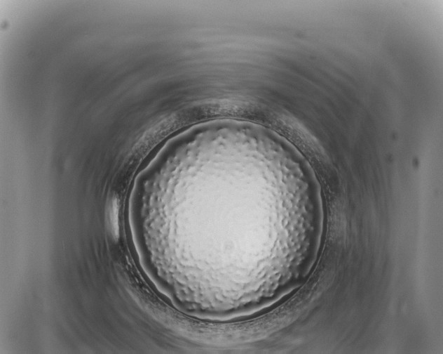 X0000086910022200704231230