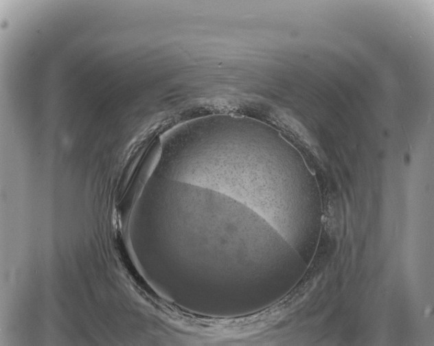 X0000086910023200704231230