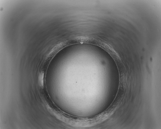 X0000086910024200704231230