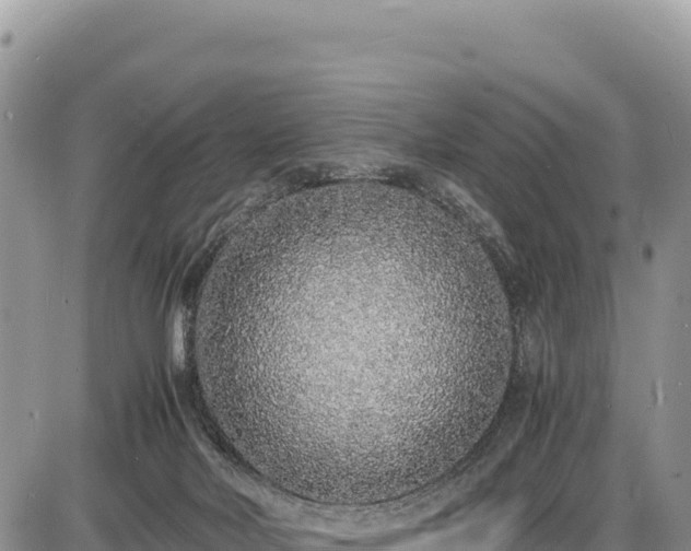 X0000086910026200704231230