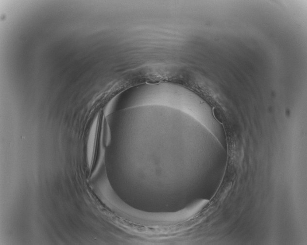 X0000086910027200704231230