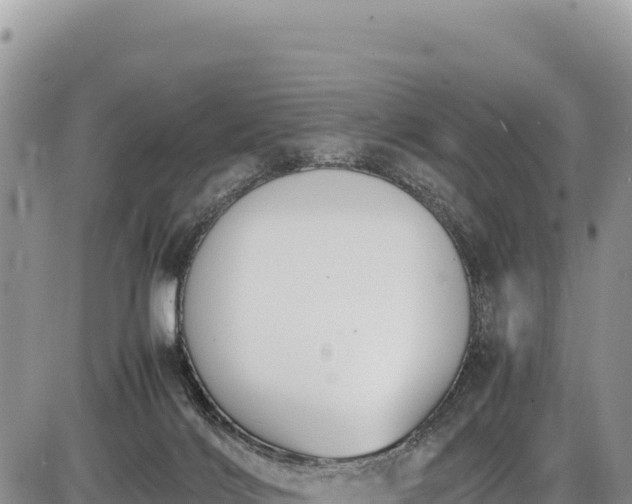 X0000086910028200704231230