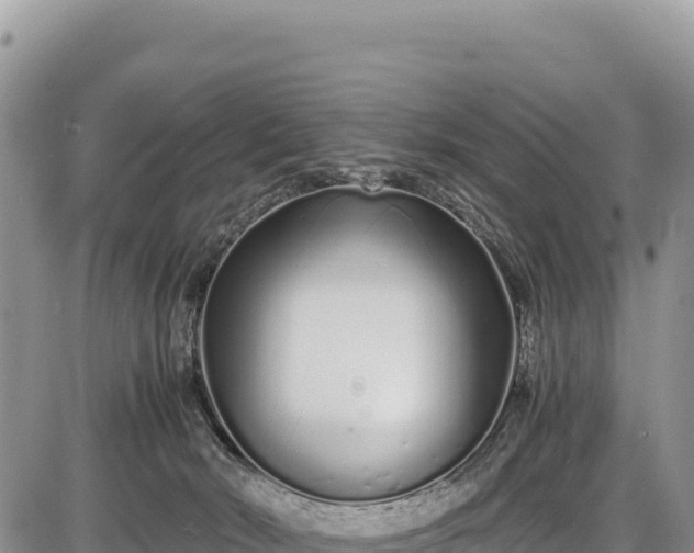 X0000086910030200704231229