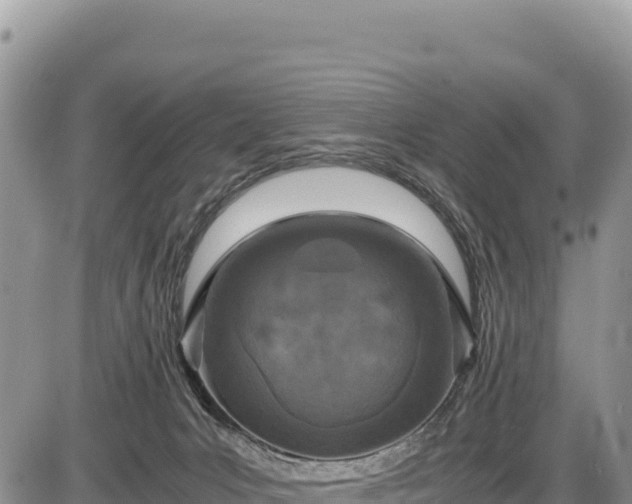 X0000086910031200704231229