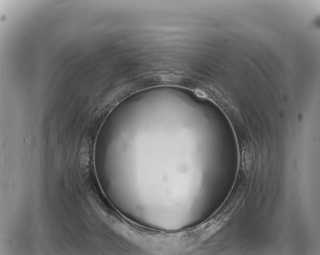 X0000086910032200704231229