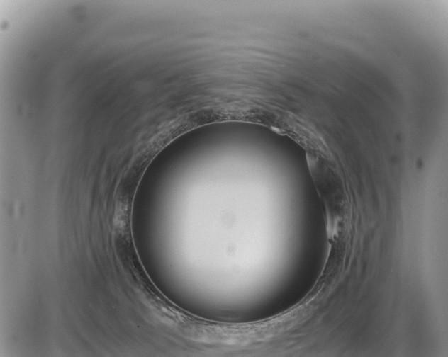 X0000086910033200704231229