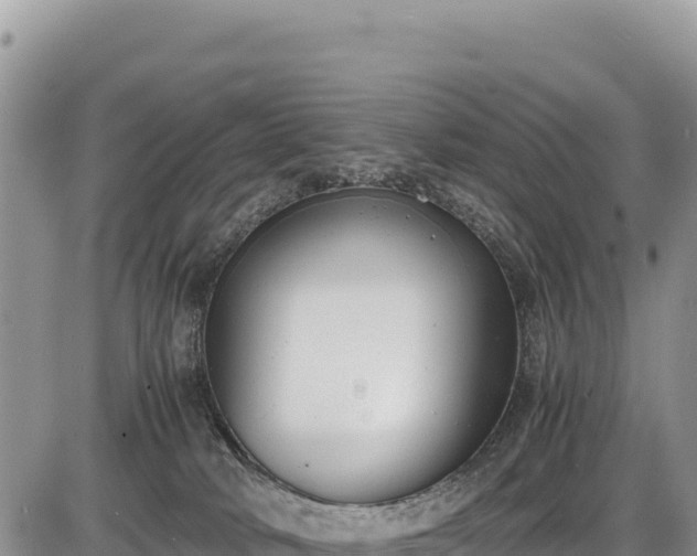 X0000086910034200704231229