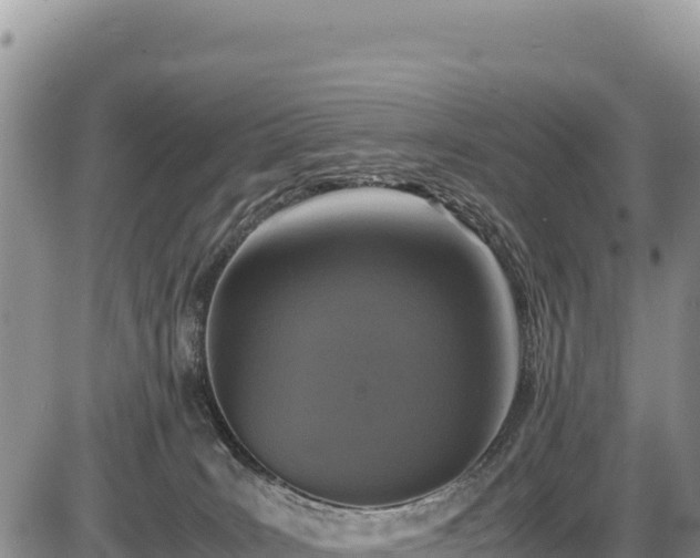 X0000086910035200704231229