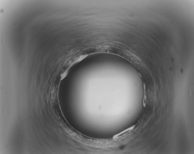 X0000086910037200704231229