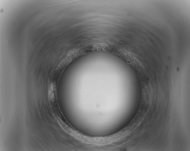 X0000086910038200704231229