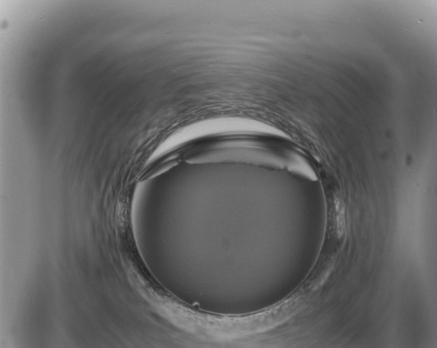 X0000086910039200704231229