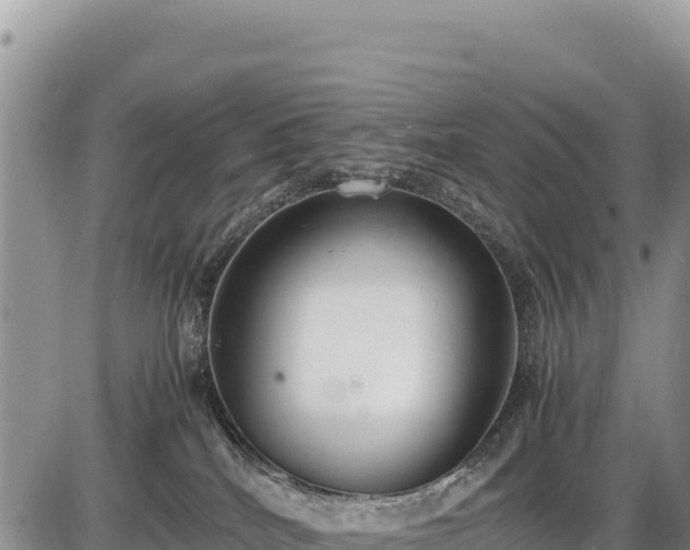 X0000086910040200704231229