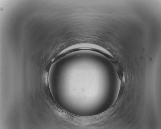 X0000086910041200704231229