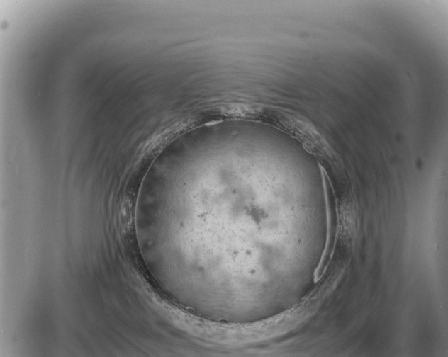 X0000086910043200704231229