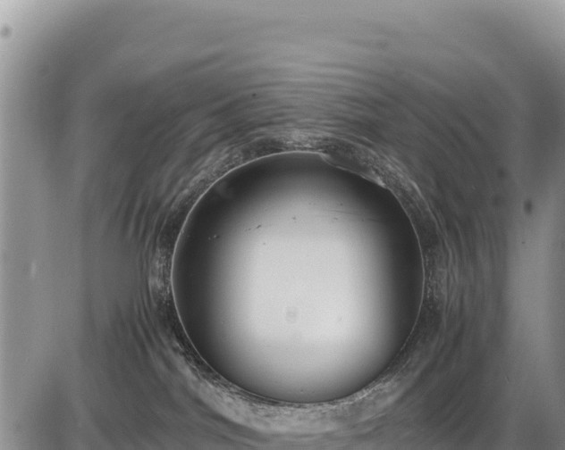 X0000086910044200704231229