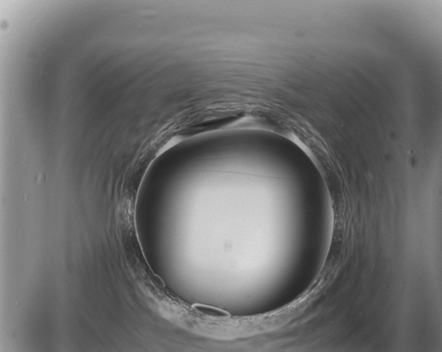 X0000086910045200704231229