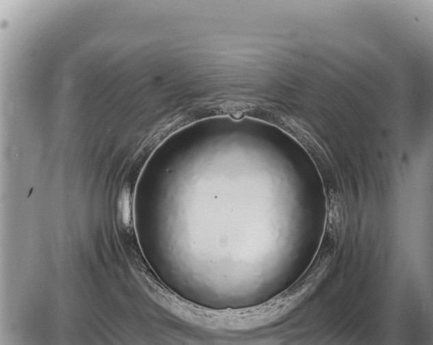 X0000086910046200704231229