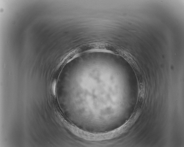 X0000086910047200704231229