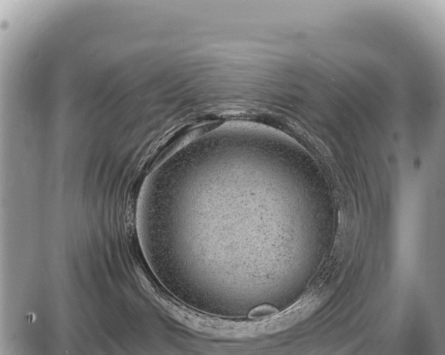 X0000086910048200704231229